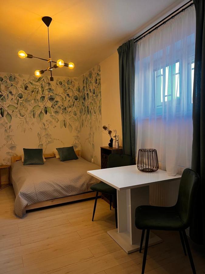Apartmany V Centre - Vlastna Izba So Spolocnou Kuchynou A Kupelnou Moze Byt Zdielana 2 Inymi Izbami Martin Exterior foto